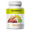 MycoMedica MycoSomat 90 kapslí  + šťavnatá tyčinka ZDARMA