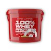 Scitec Nutrition 100% Whey Protein Professional 5000g  + šťavnatá tyčinka ZDARMA