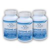 FitSport Nutrition 3x Caffeine 200mg + Green Tea Extract 300mg 120 kapslí  + šťavnatá tyčinka ZDARMA