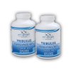 FitSport Nutrition 2x Tribulus Terrestris 90% + Vitamin B6 + Zinc 240 kapslí  + šťavnatá tyčinka ZDARMA
