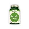 GreenFood Nutrition Boswellia serrata 60 kapslí