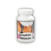 Nutristar Synefrin - Niacin 500 tablet  + šťavnatá tyčinka ZDARMA