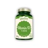 GreenFood Nutrition Vitamín D3 4000 IU 90 kapslí