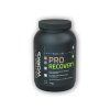 Nutri Works Pro Recovery 1000g (Varianta malina)