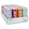 GAAM 24x Energetický Nápoj GAAM 330ml (Varianta blueberry raspberry)
