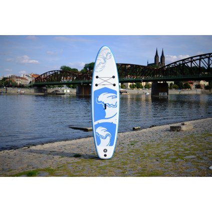 11' Paddleboard