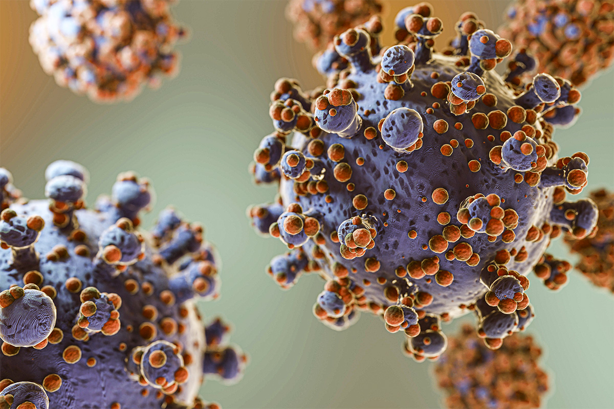 Perché l'influenza ci colpisce di più in inverno? E come nasce?