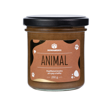 animal