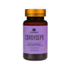 cordyceps