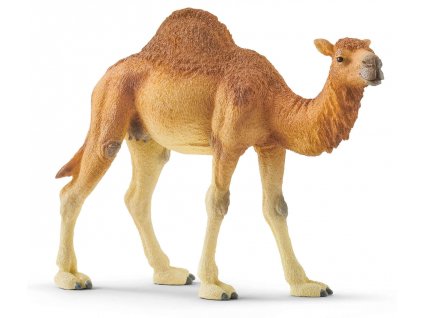 Figurka velblouda Schleich Dromader