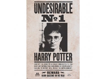 Plakát Harry Potter - Undesirable n°1