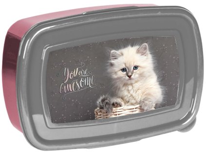 Paso Breakfast Box Cat 750ml