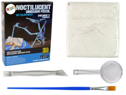 Sada pro archeologické vykopávky Kostry dinosaura Pteranodon 3D hologram