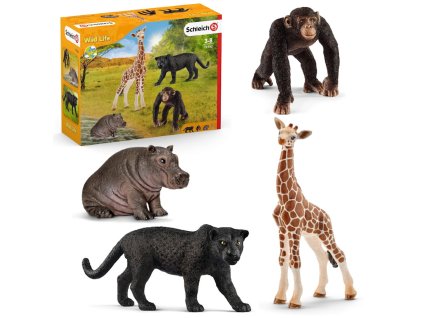 Schleich Wild Life Sada Volně žijící zvířata 4 figurky 72162