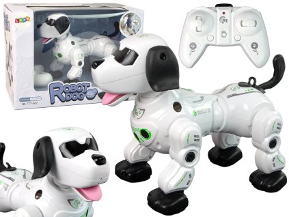 Interaktivní dálkově ovládaný robotický pejsek