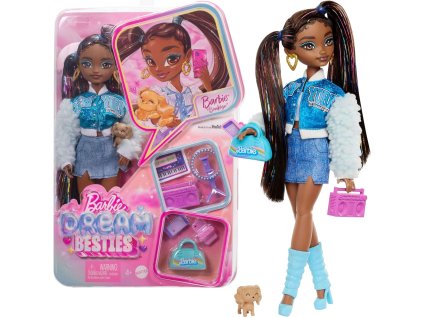 Barbie Dream Besties - Brooklyn módní panenka + příslušenství