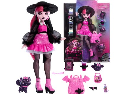 Monster High Draculaura růžová panenka 26 cm + doplňky a mazlíček