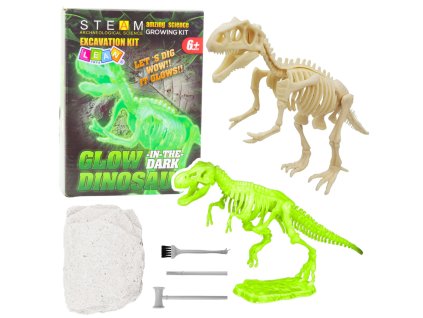 Archeologie Vykopávací sada Fluorescenční kostra Nástroje