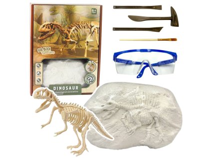Paleontologická Výkopová Sada Kostra Dinosaura Nářadí