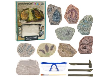 Paleontologická výzkumná sada – sádrové bloky, nástroje
