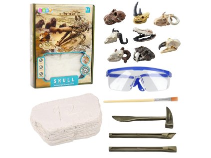 Archeologická vykopávková sada – lebky, kosti, nástroje a doplňky