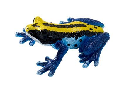 Mojo Pralesnička barvířská