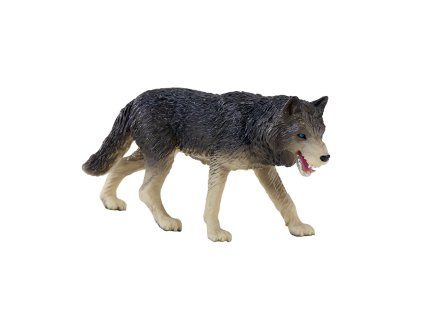 Mojo Vlk lesní
