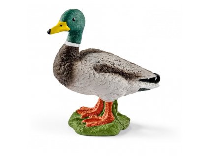 Schleich Kačer 13824