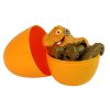 Dinosaurus Tyrannosaurus Rex sada se šroubovákem Egg DIY Orange
