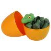 Dinosaurus Tyrannosaurus Rex sada se šroubovákem Egg DIY Green
