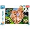 Trefl Puzzle 100 Krásy přírody