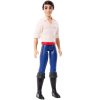 Hasbro Disney Princezny Panenka Arielka Malá mořská víla F0895 + Panenka Princ Erik HLV97
