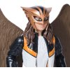 DC Comics Hawkgirl Superman velká figurka panenka 30 cm