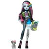 Monster High Sada s panenkou Frankie Stein, pejskem a doplňky