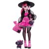 Monster High Draculaura růžová panenka 26 cm + doplňky a mazlíček