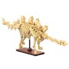 Stavebnice CaDA sada dinosauří kostra Dinosaur Fossils: Stegosaurus 297 dílů
