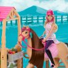 Barbie Sada s panenkou a koněm Jezdecký sen Barbie Mysteries Velký Koňský Hon s 25 prvky