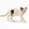 Schleich Americká krátkosrstá kočka 13894