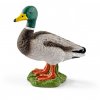 Schleich Kačer 13824