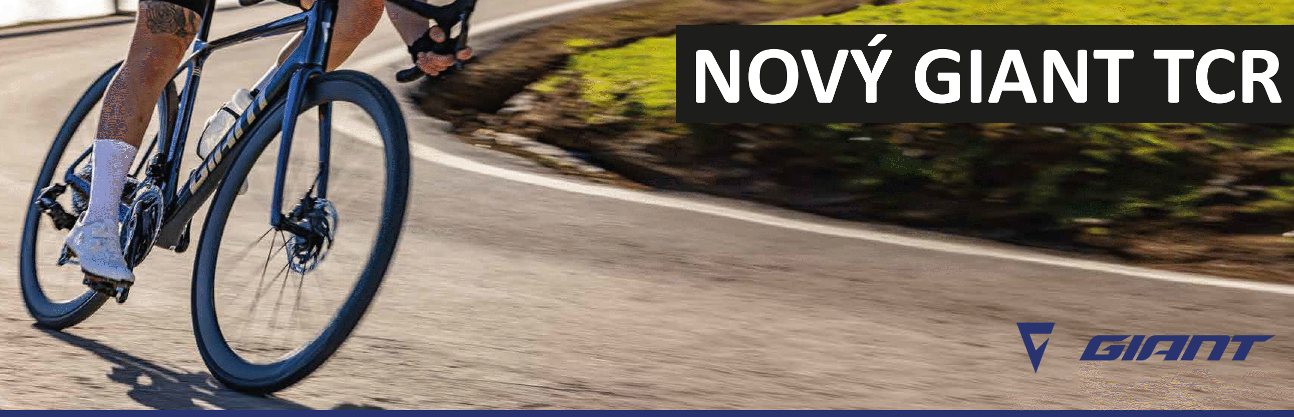 nové TCR