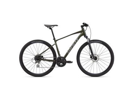 GIANT Roam 3 Disc