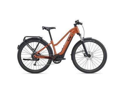 Amiti-E+ 2 Copper Coin