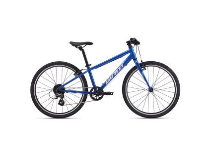 ARX 24 One Size Phoenix Fire (Varianta ARX 24 One Size Cobalt)