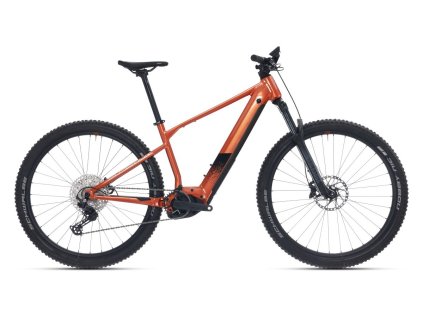 eXP 9019 B/Gloss Copper/Matte Black (Varianta 29x21.0"(XL))