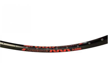 Rodi Tryp 30  Disc  MTB 29" ráfek  32 děr