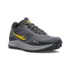obuv saucony S20740-16 PEREGRINE 12 GTX SHADOW/VIZI (Velikost 5UK)
