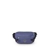 OSPREY LEDVINKA TRANSPORTER WAIST PACK EUPHORIA PURPLE (10006531)