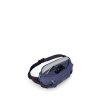 OSPREY LEDVINKA TRANSPORTER WAIST PACK EUPHORIA PURPLE (10006531)