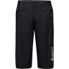 GORE Endure Shorts (Varianta GORE Endure Shorts black XL)