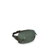 OSPREY LEDVINKA TRANSPORTER WAIST PACK PINE LEAF (10006532)